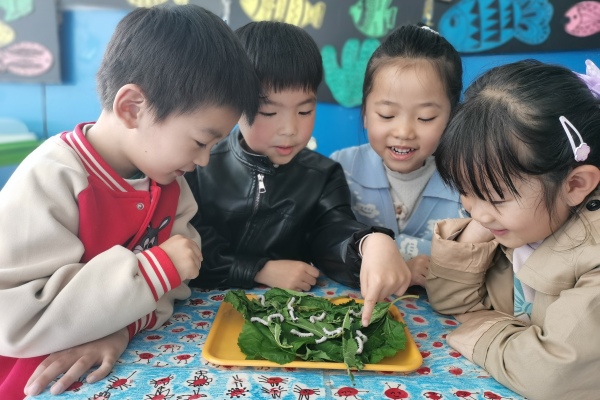 海州灣中心幼兒園開展“谷雨”主題活動1.jpg